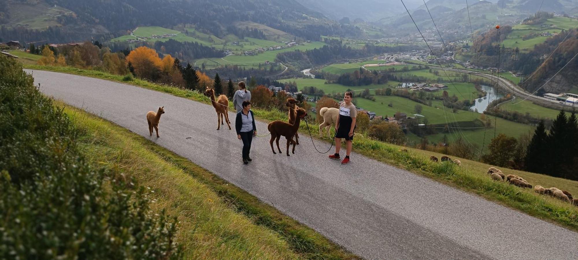 Appartementhaus Eisbauer Sankt Johann im Pongau Exterior foto